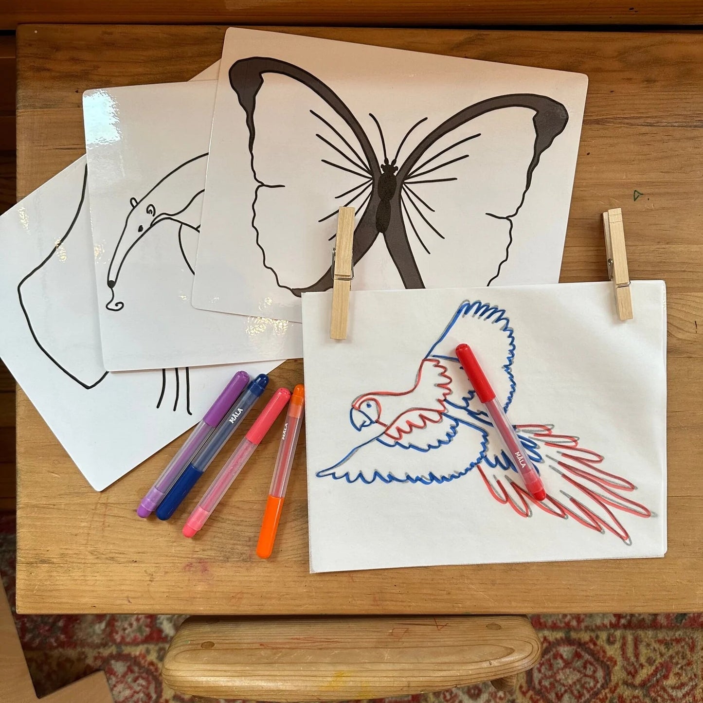 Montessori Amazon Rainforest Extensions Bundle
