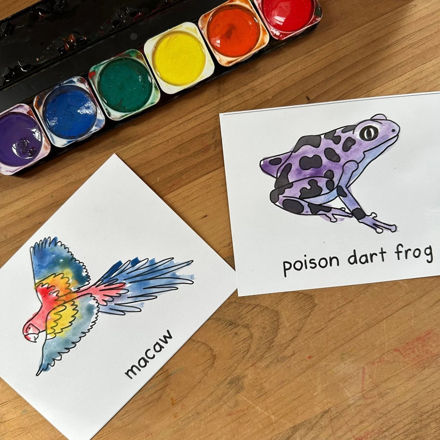 Montessori Amazon Rainforest Extensions Bundle