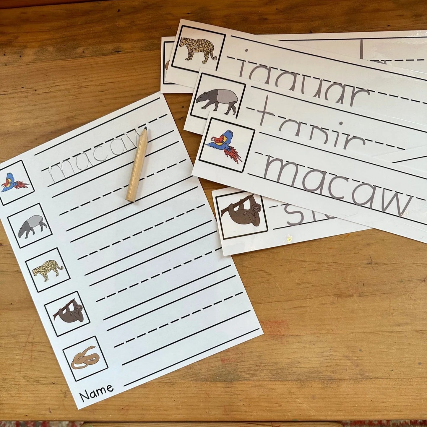 Montessori Amazon Rainforest Extensions Bundle