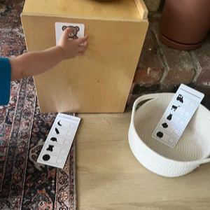 Montessori Back to Basics Bundle
