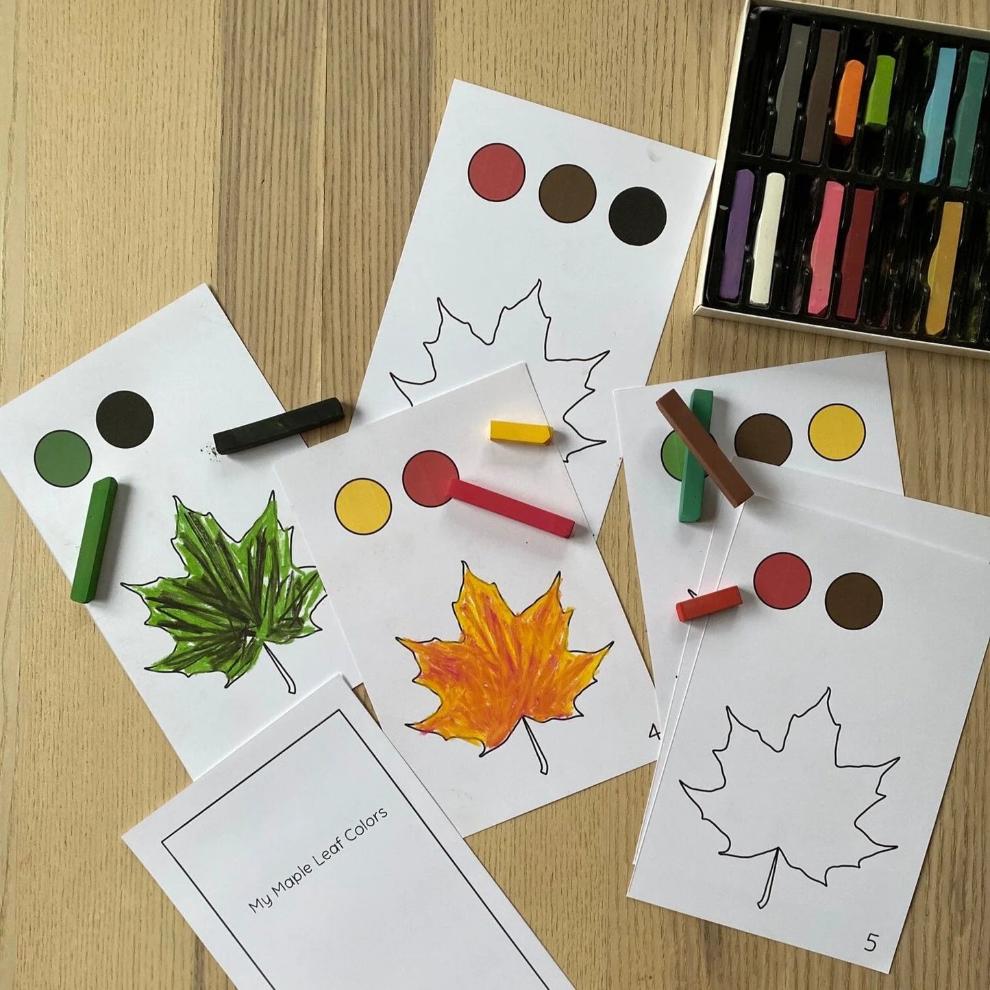 Montessori Botany Bundle