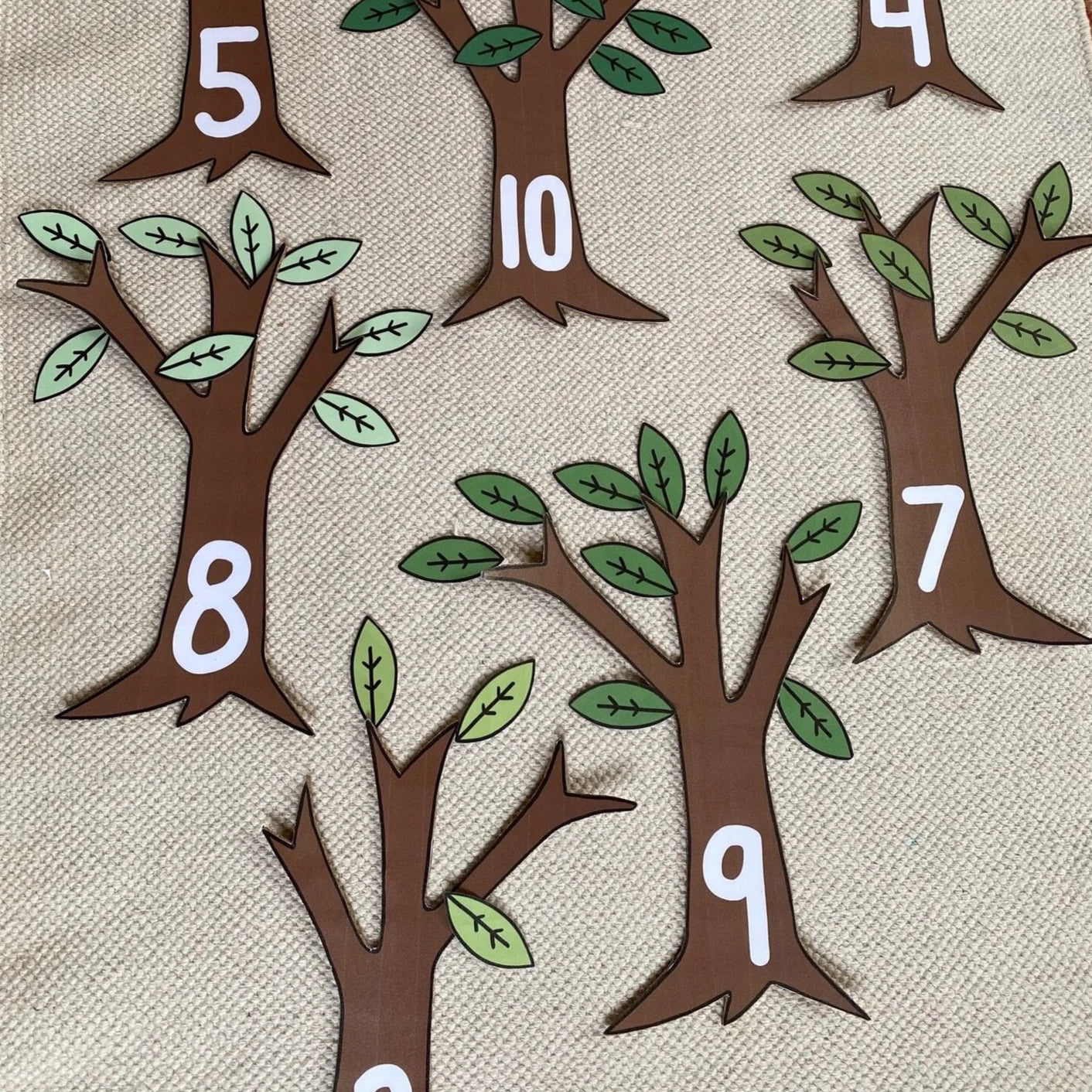 Montessori Botany Bundle