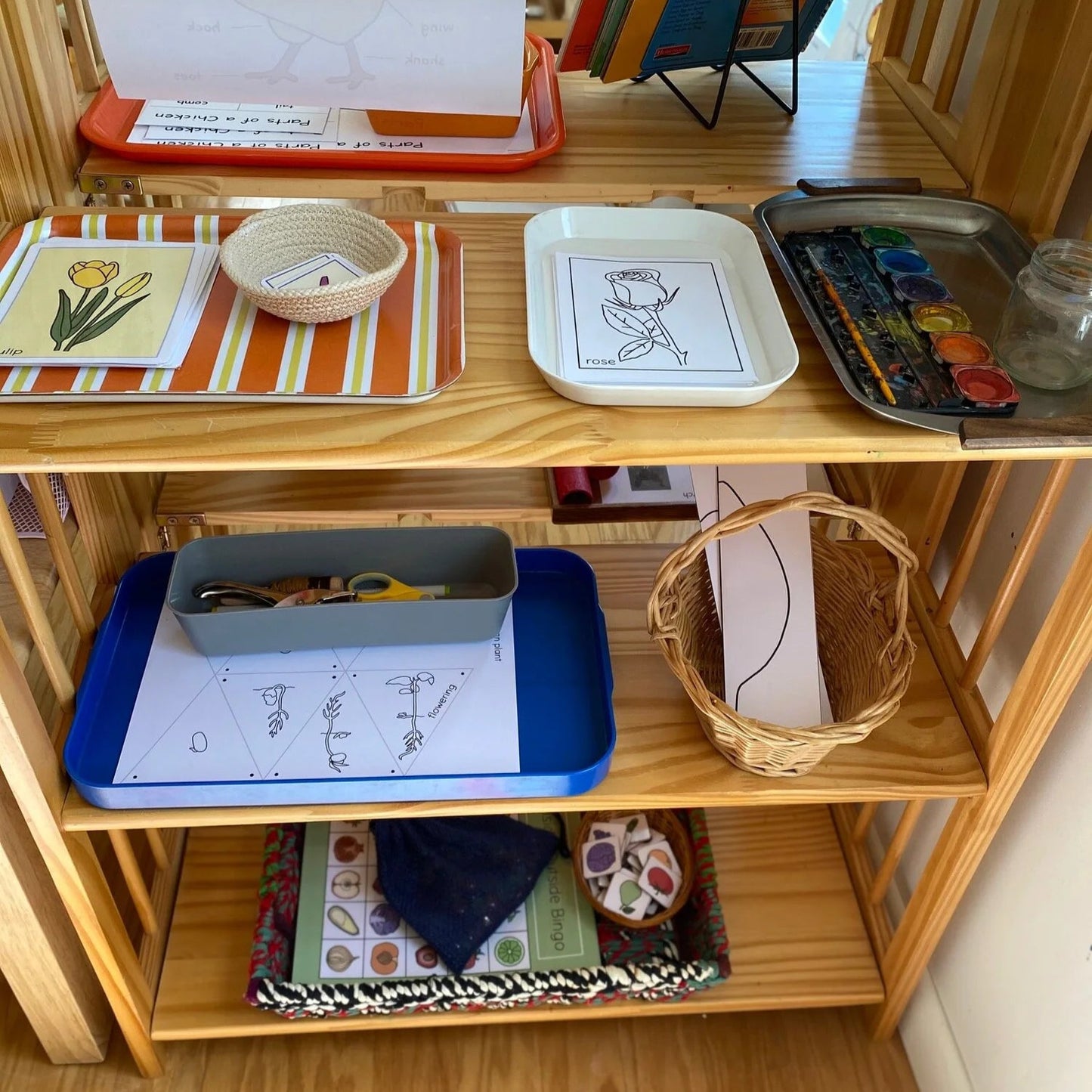Montessori Botany Bundle