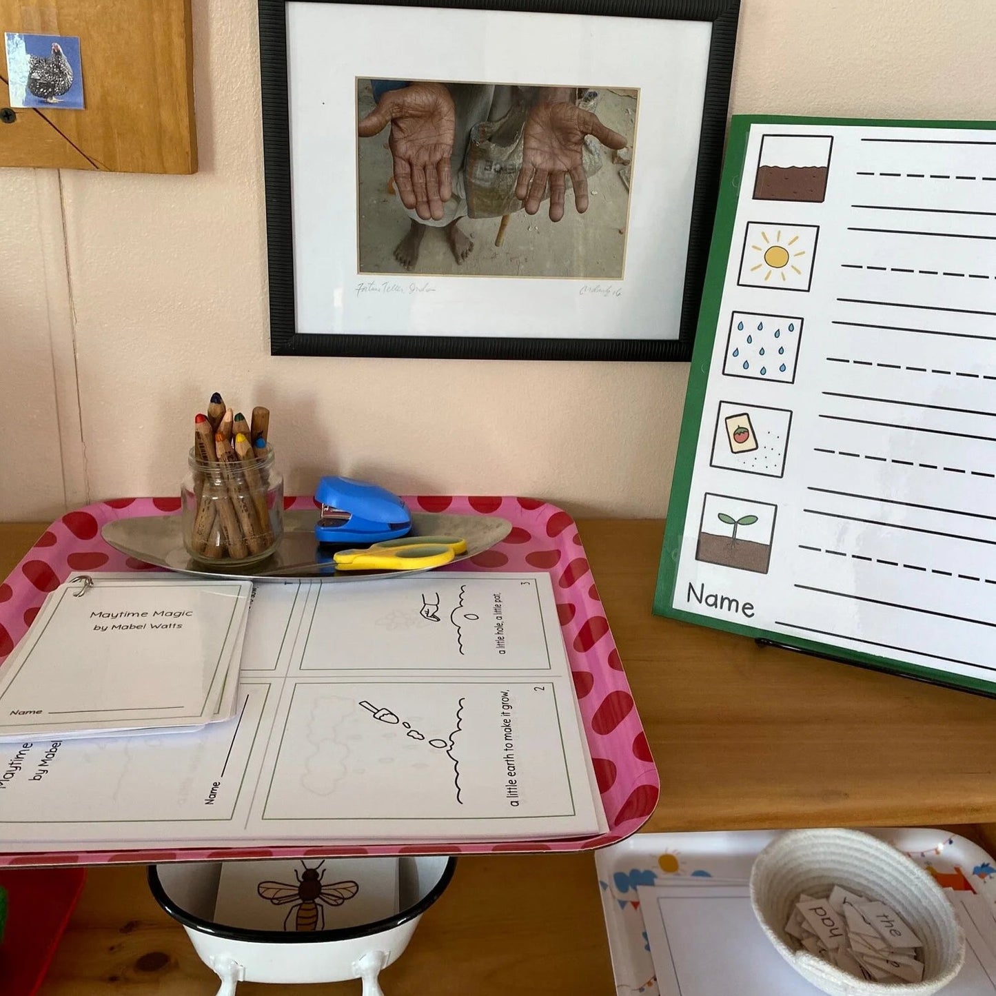 Montessori Botany Bundle