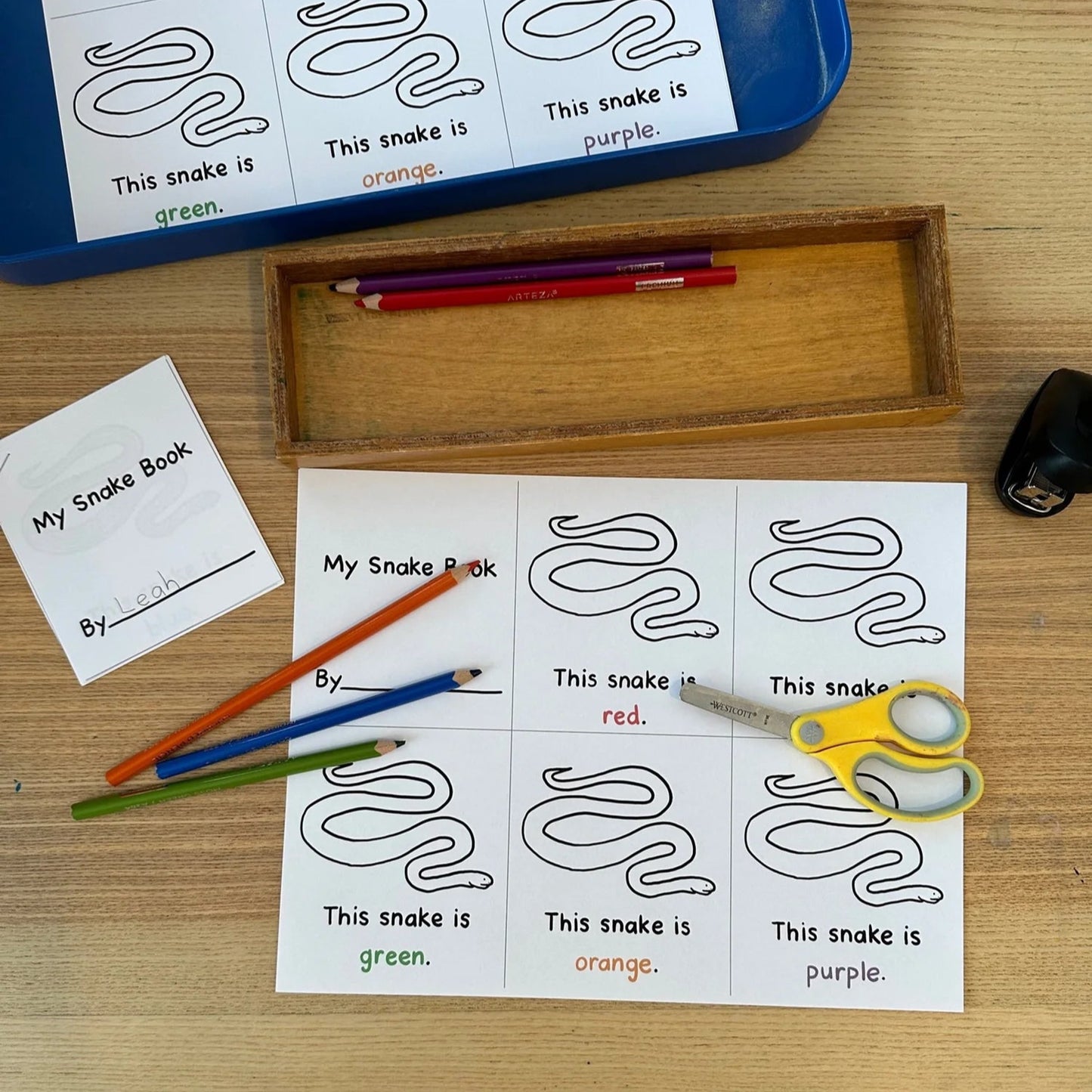 Montessori Amazon Rainforest Extensions Bundle