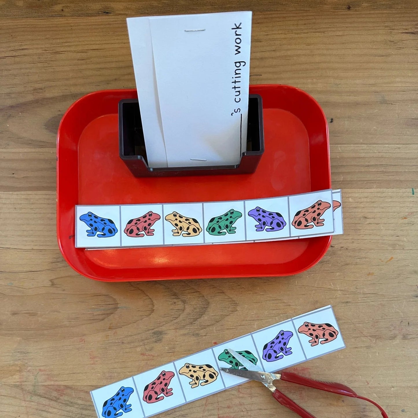 Montessori Amazon Rainforest Extensions Bundle