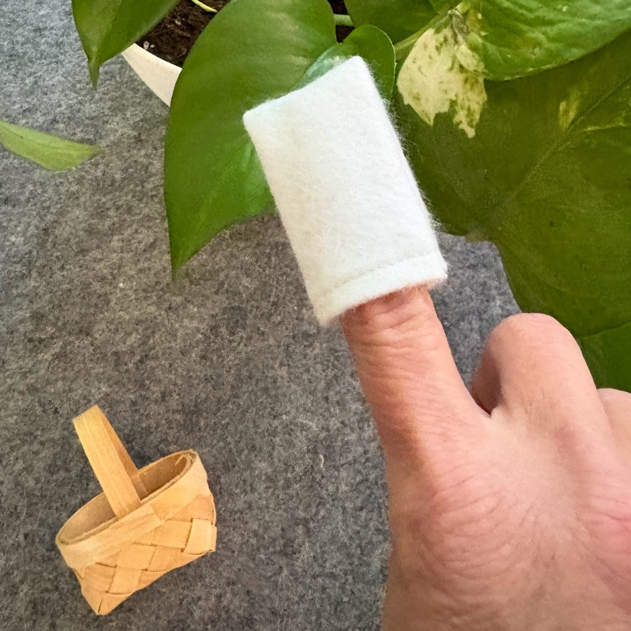 Leaf Dusting with a Finger Mitt