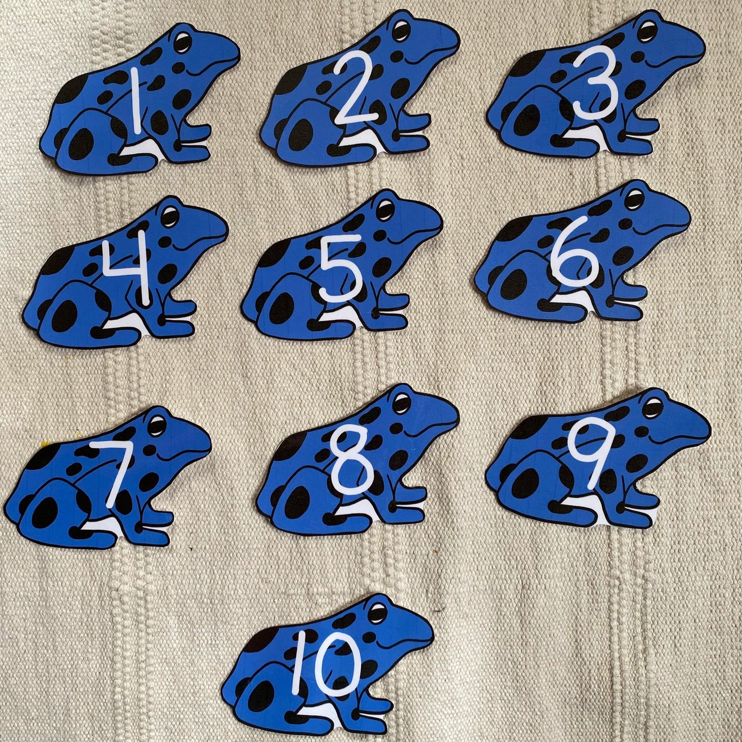 Poison Dart Frog (South America) 1-10