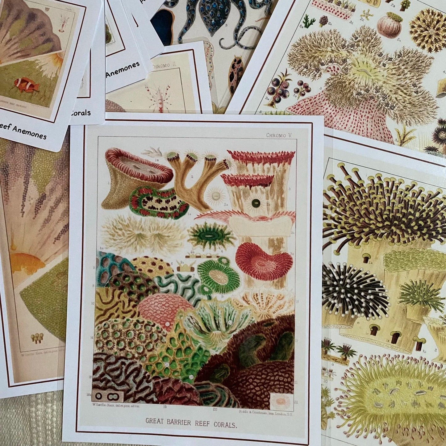 Art From Around the World