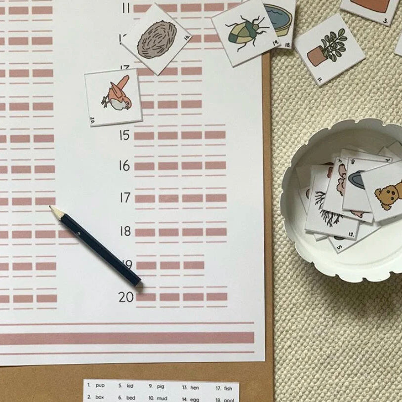 Montessori Intermediate Language Bundle