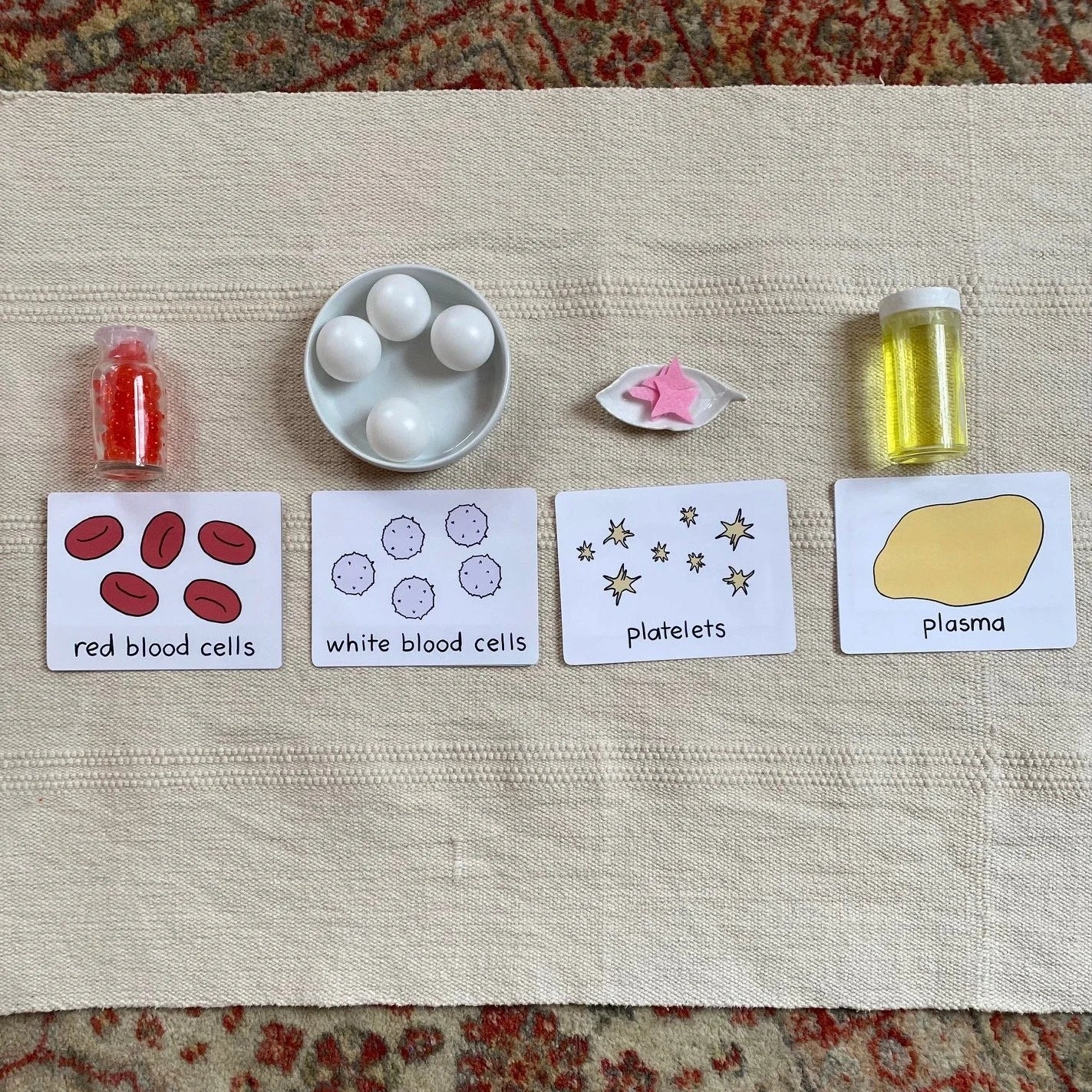 Parts of Blood