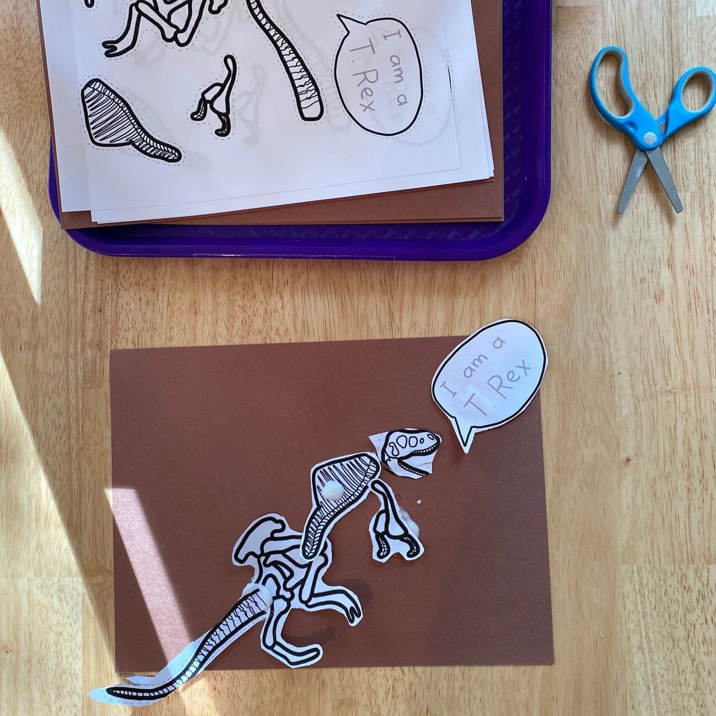 Montessori Dinosaur Extensions Bundle