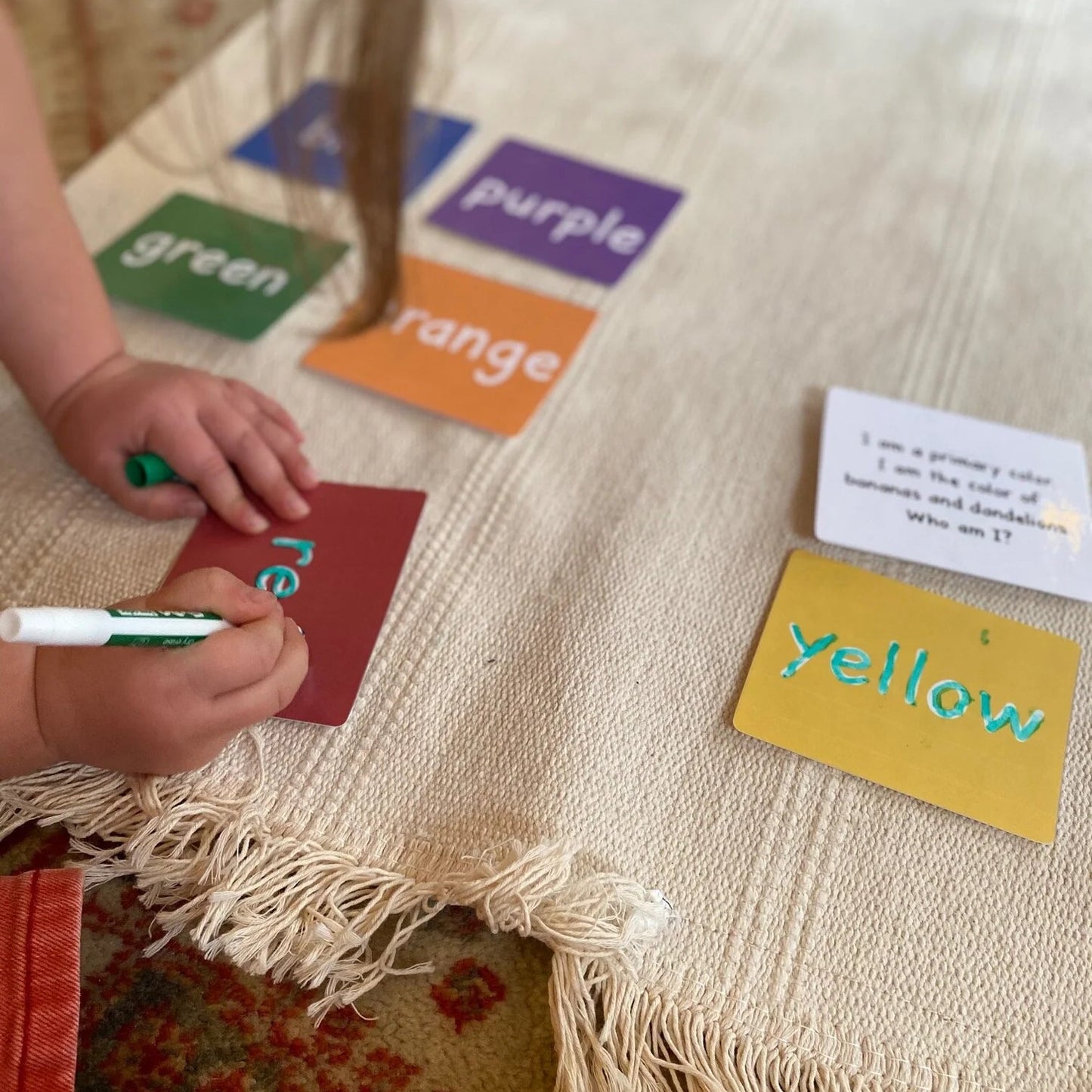 Montessori Sensorial Bundle