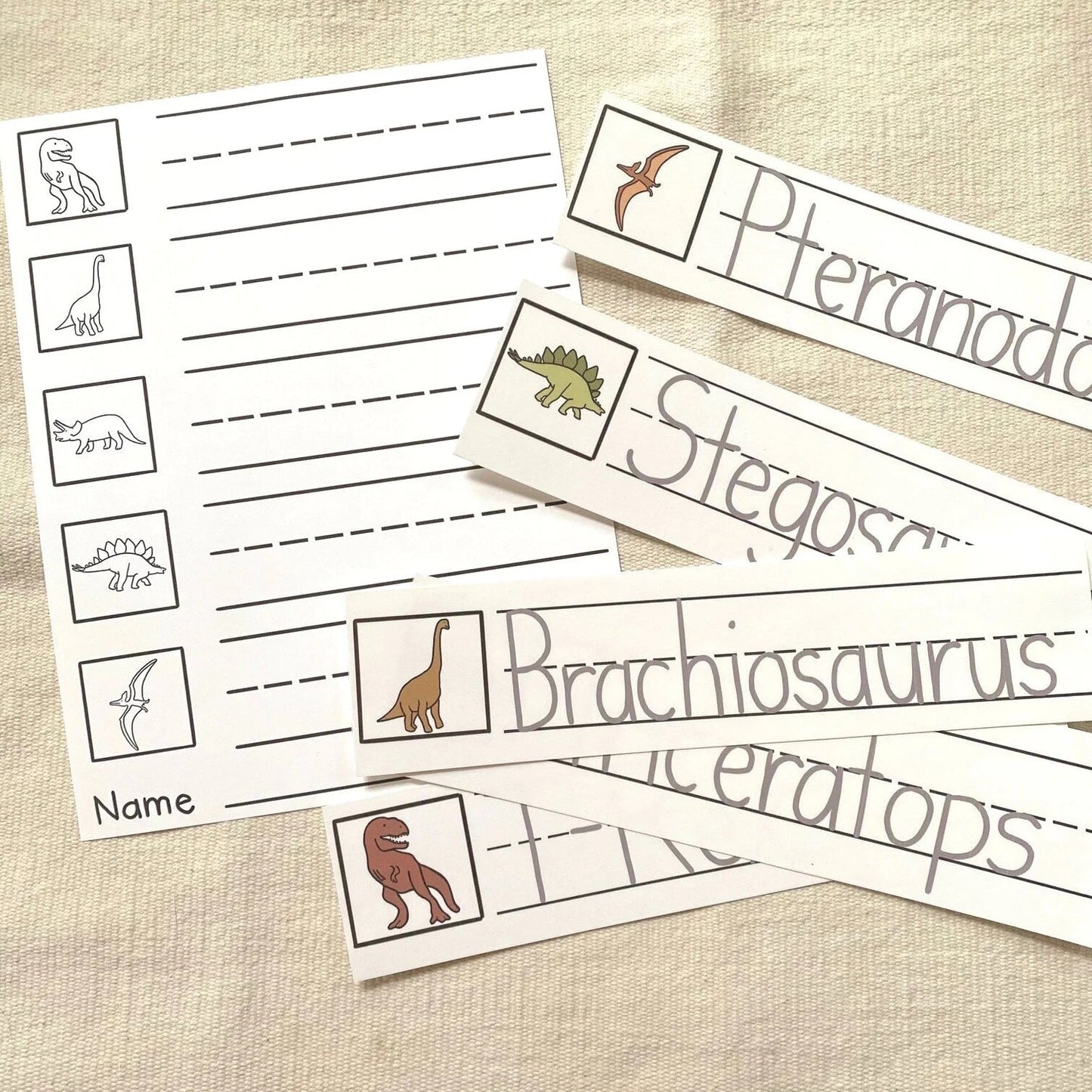 Montessori Dinosaur Extensions Bundle