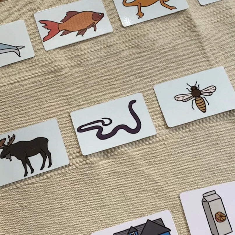 Rhyming Cards