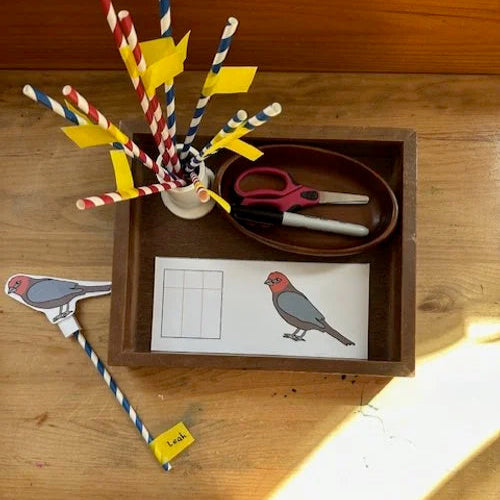 Montessori Birds Extensions Bundle