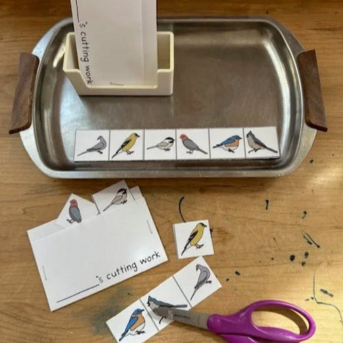 Montessori Birds Extensions Bundle
