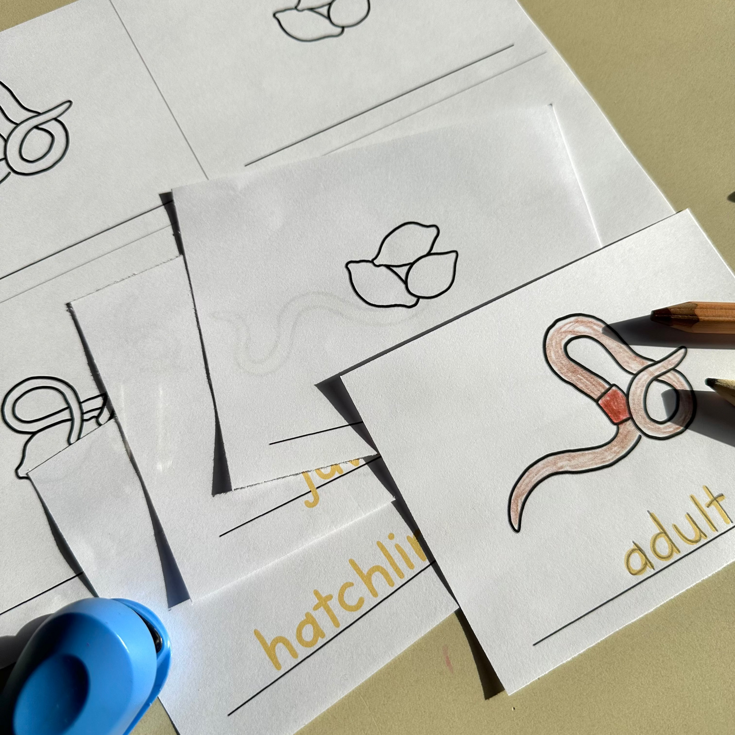 Learn About Earthworms