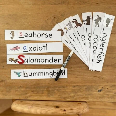 Montessori Vertebrates Bundle