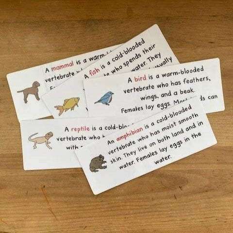 Montessori Vertebrates Bundle