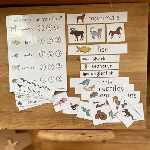Montessori Vertebrates Bundle