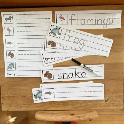 Montessori Vertebrates Bundle