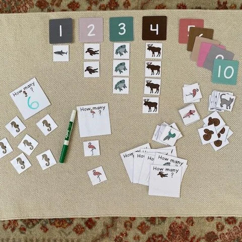 Montessori Vertebrates Bundle