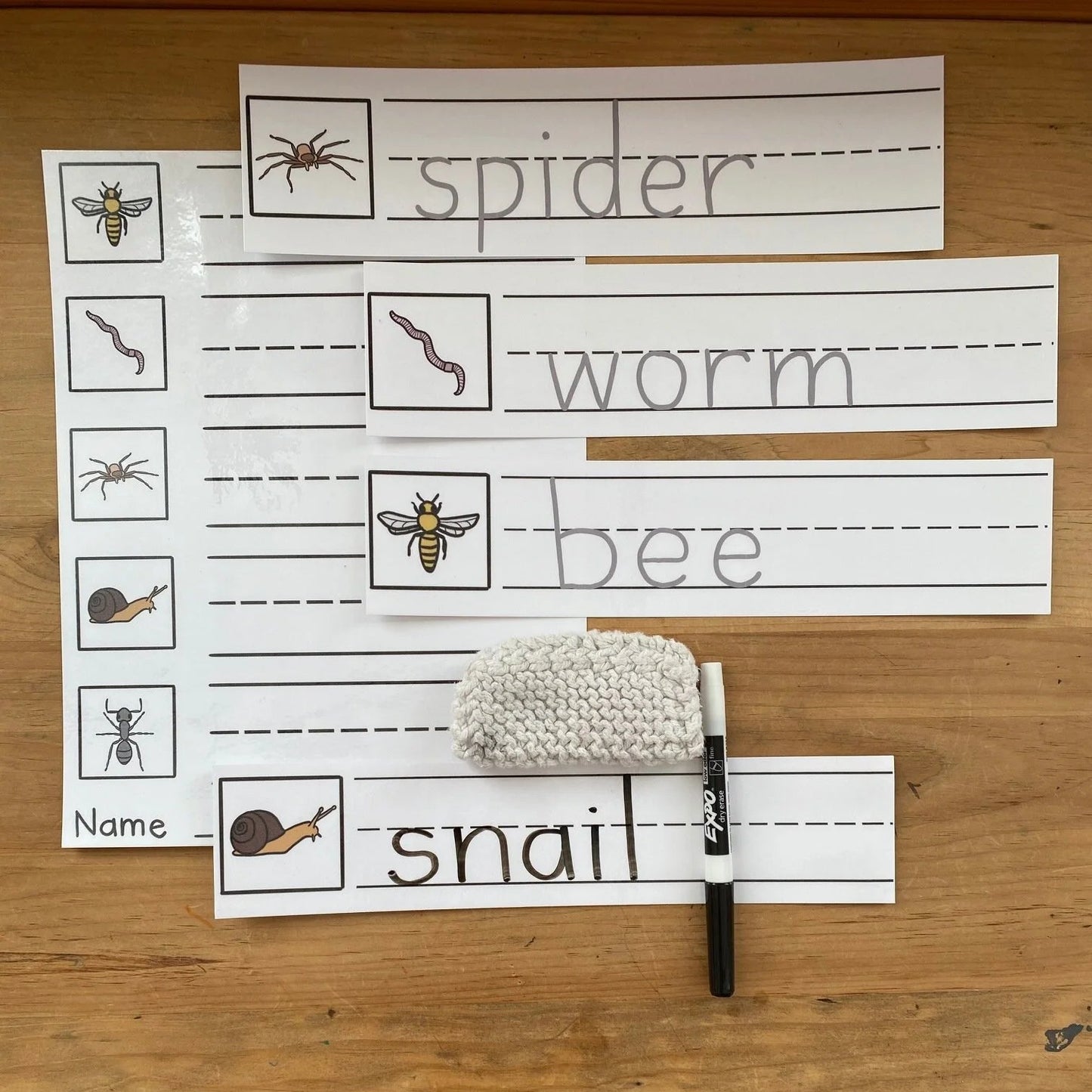 Invertebrate Scavenger Hunt