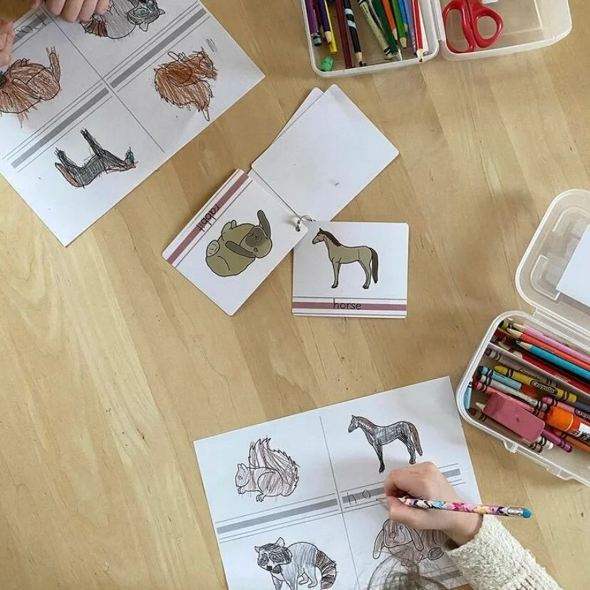 Montessori Vertebrates Bundle