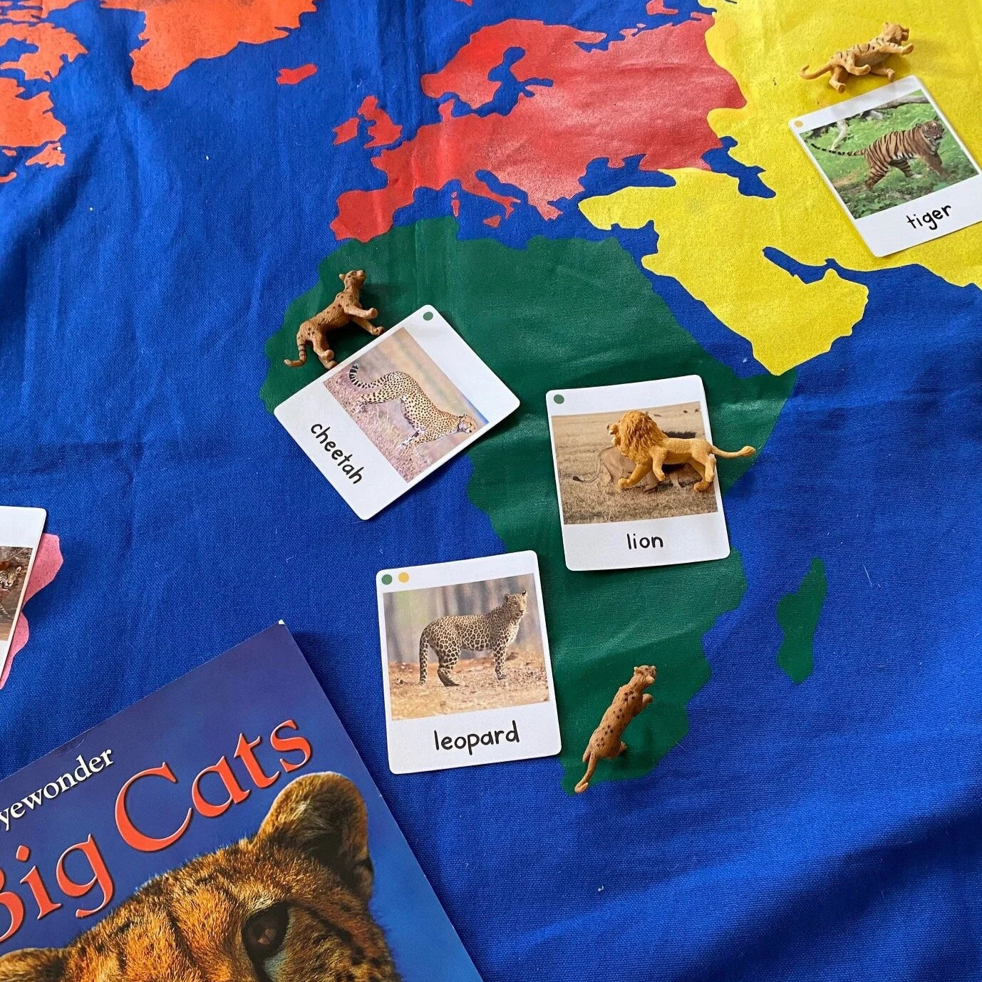Big Cats
