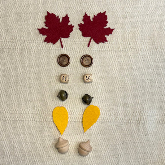 Paired Objects for Mystery Bag