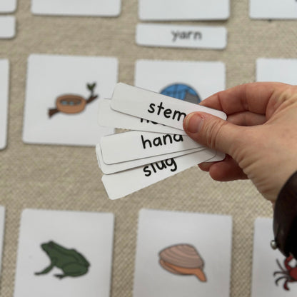 Blends Picture Word Matching