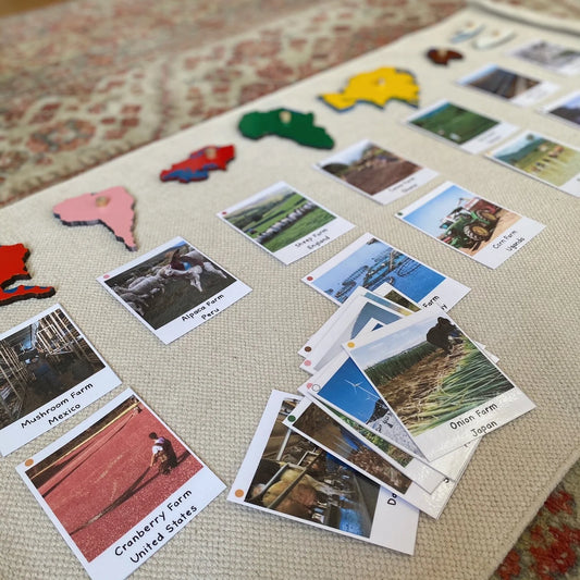 Farms Around the World