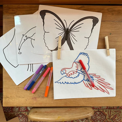 Montessori Amazon Rainforest Extensions Bundle