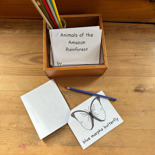 Montessori Amazon Rainforest Extensions Bundle