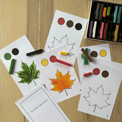Montessori Botany Bundle