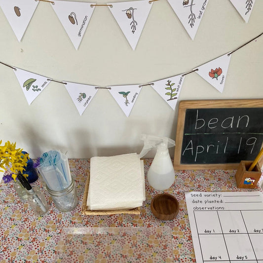 Montessori Botany Bundle