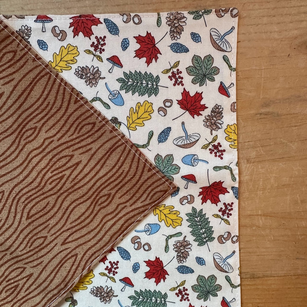 Set of Two Children's Placemats