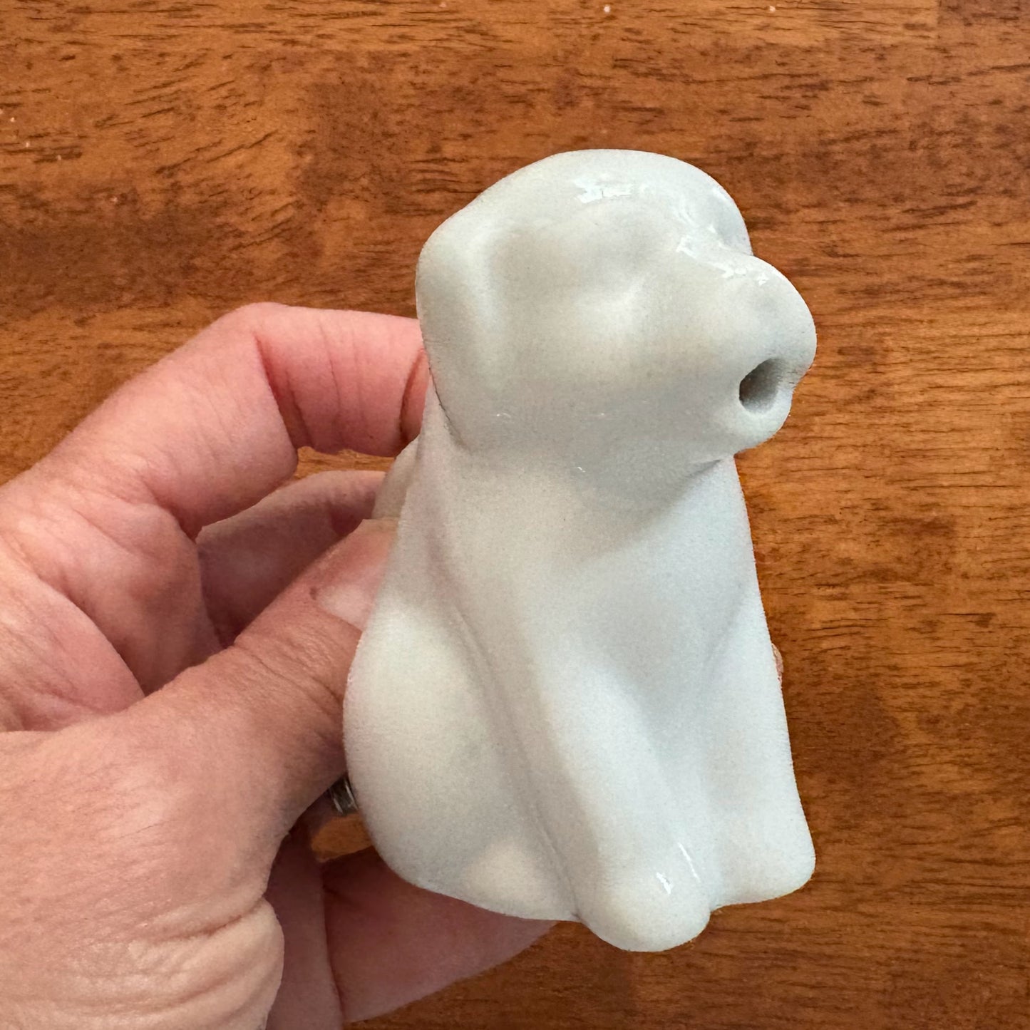 Dog Pitcher