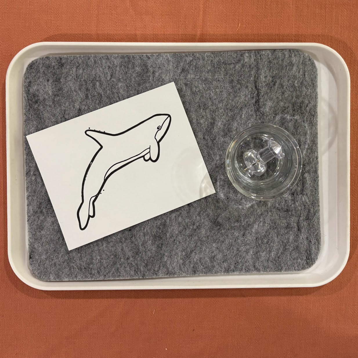 Large Pin Poking Tray Setup