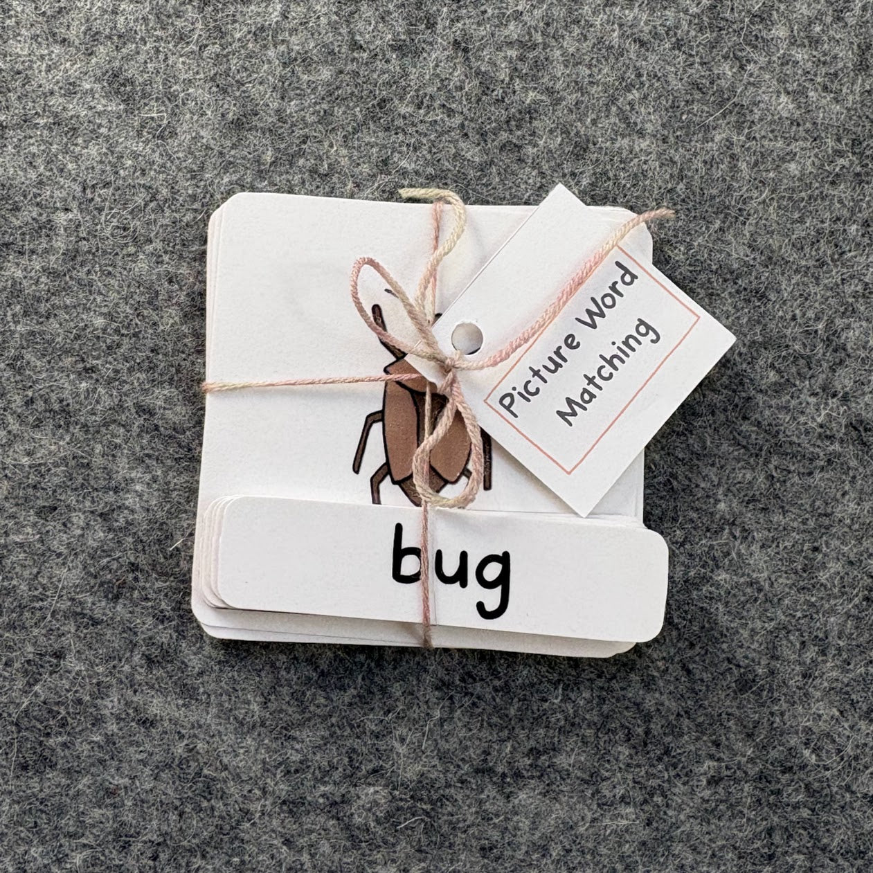 CVC Picture Word Matching Cards