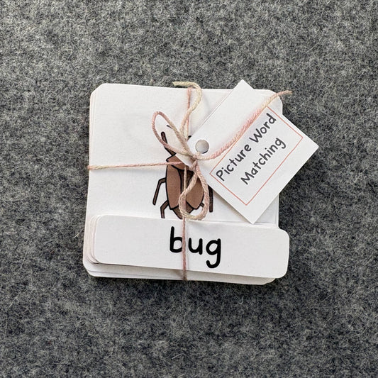 CVC Picture Word Matching Cards