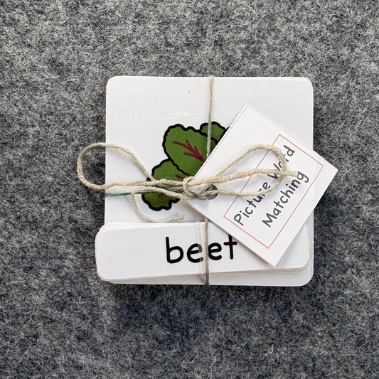 Phonogram Picture Matching Cards
