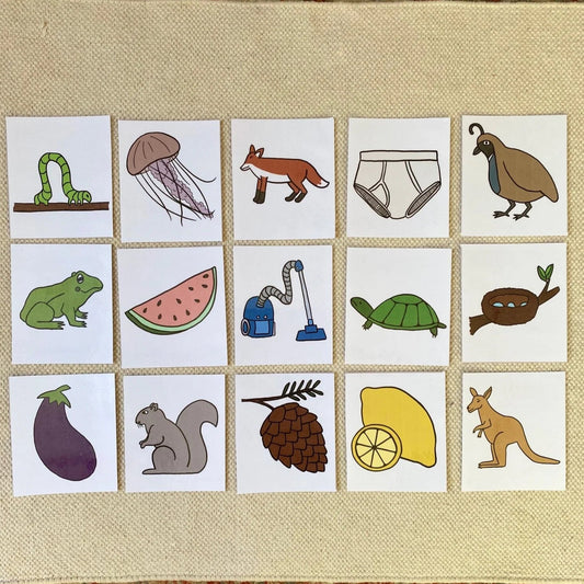 Large Initial Sound Object Cards