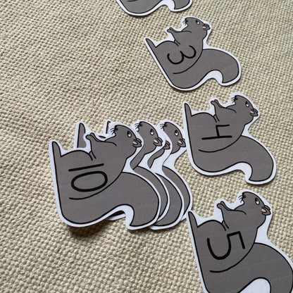 Squirrel 1-10