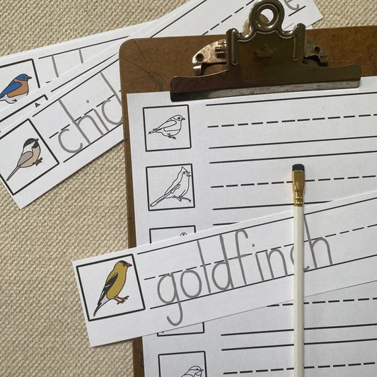 Backyard Birds Scavenger Hunt