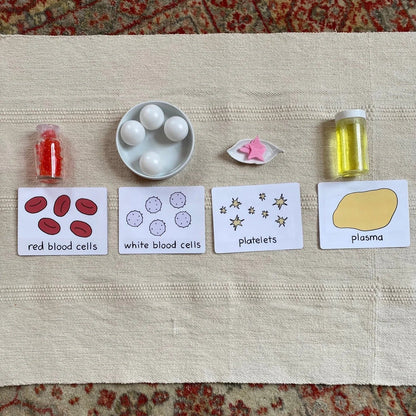 Parts of Blood