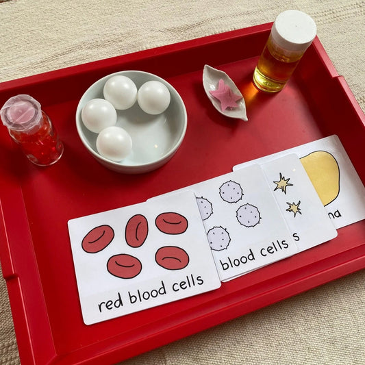 Parts of Blood