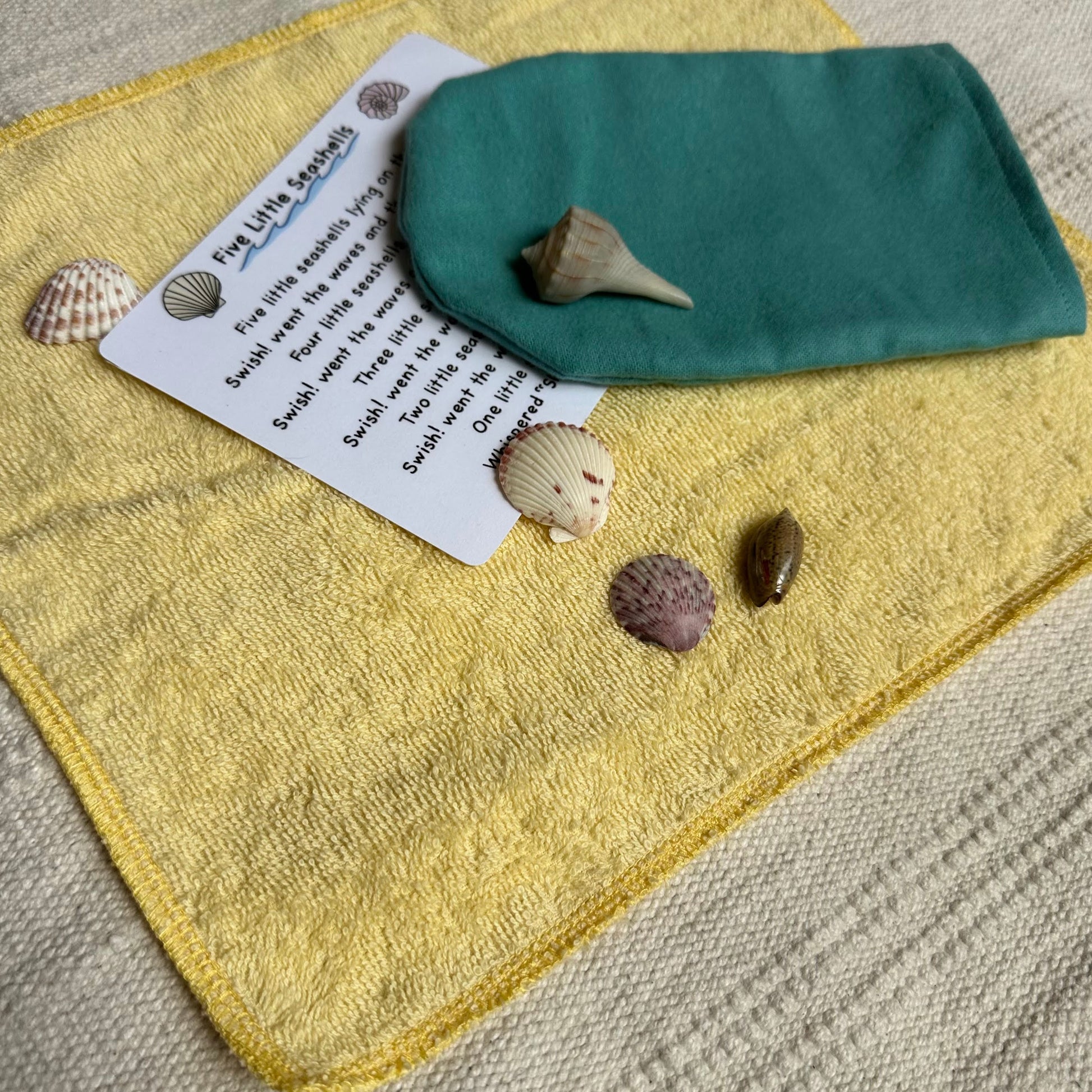 Shell Poem and Objects – Crafting Your Classroom