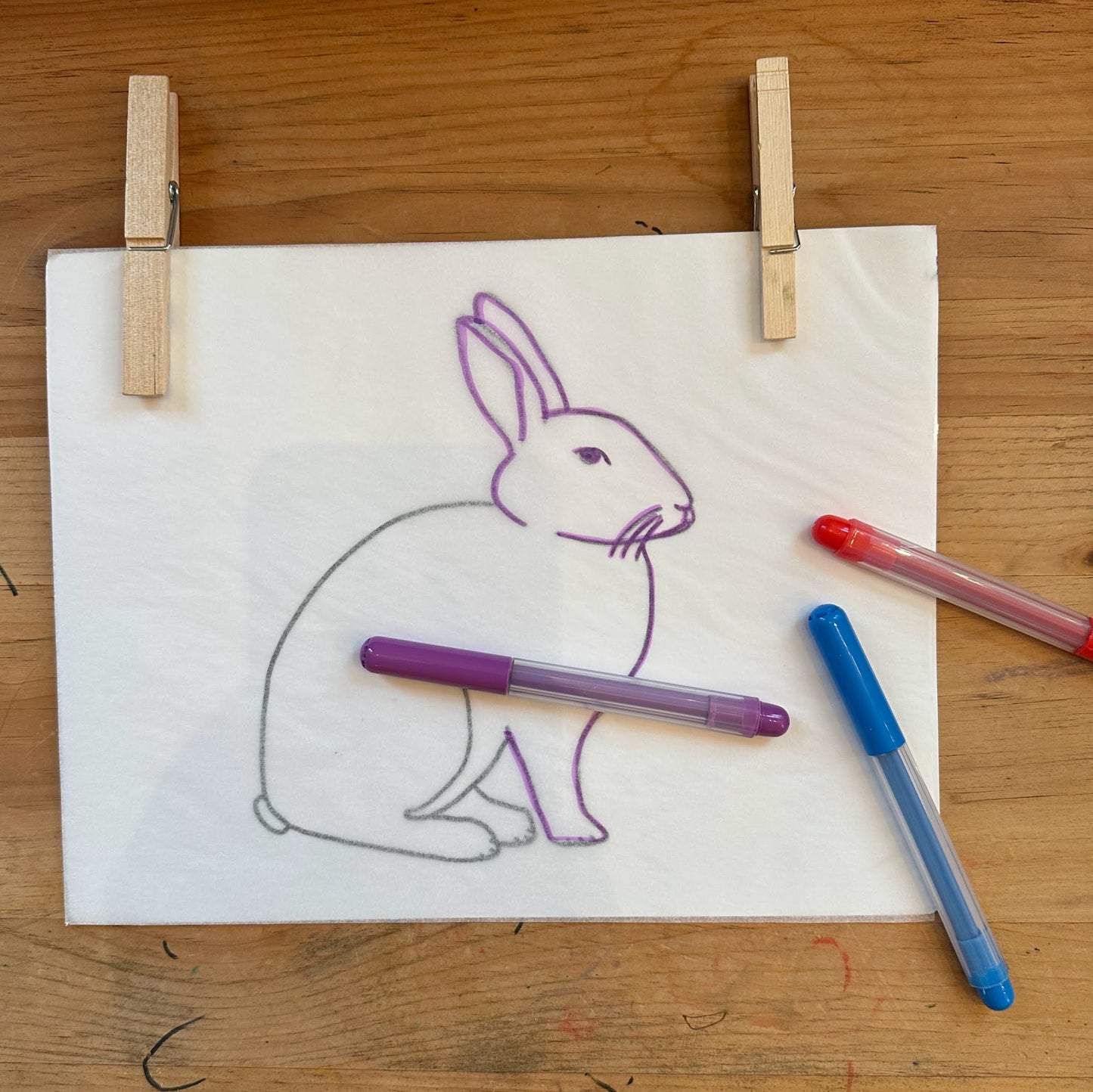 Forest Animal Tracing